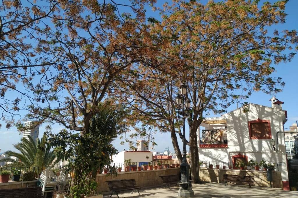 San Antonio Villa Alicante Buitenkant foto